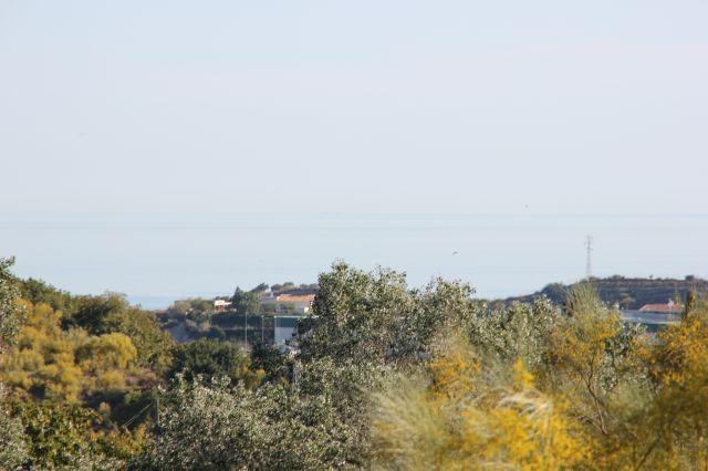 Apartamentos Rurales Santos Benajarafe Rom bilde